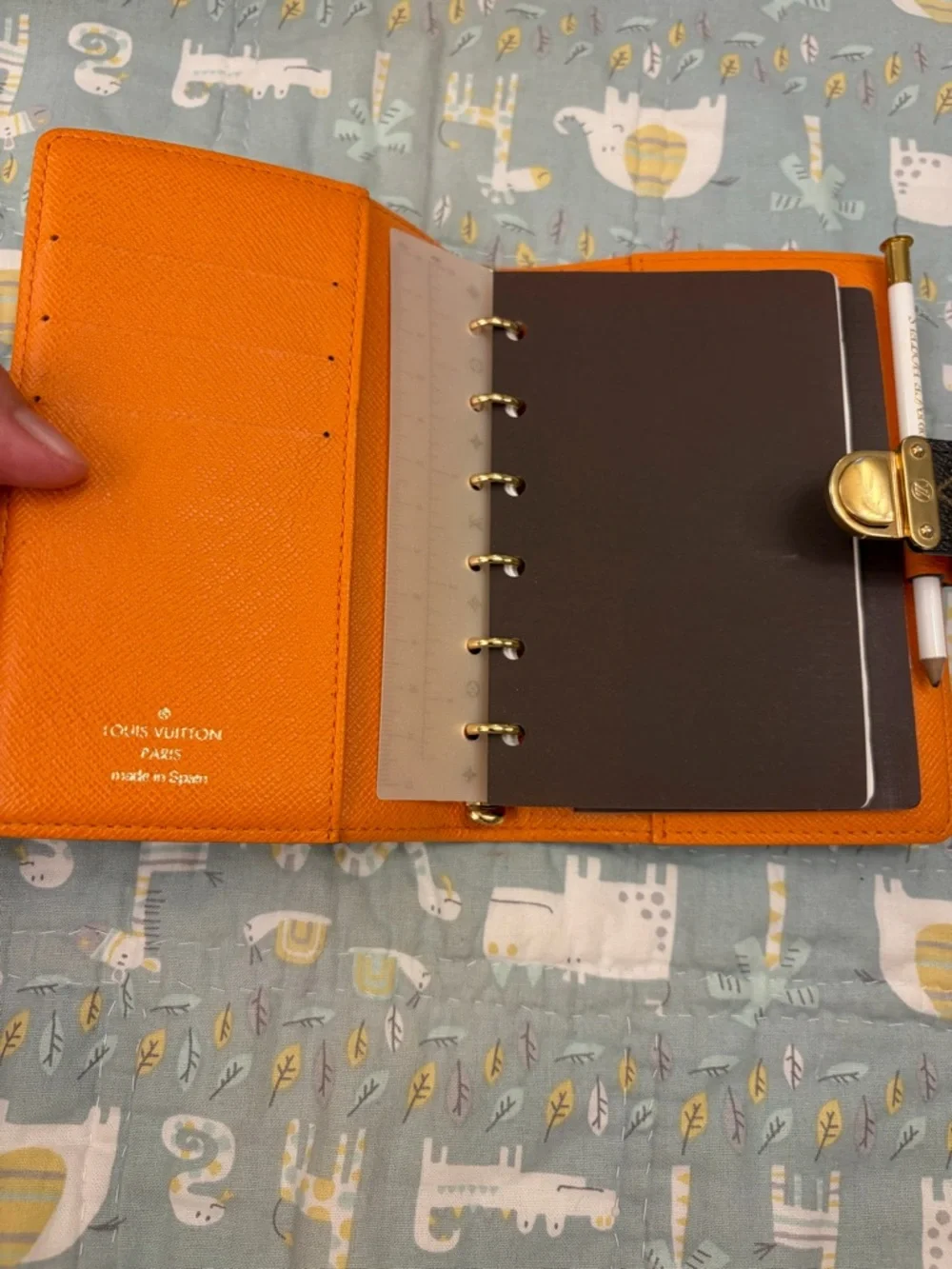 Louis Vuitton Agenda Pm (PRICE FIRM) - Picture 4 of 16
